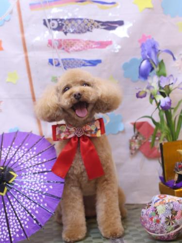 20240529めるちゃん